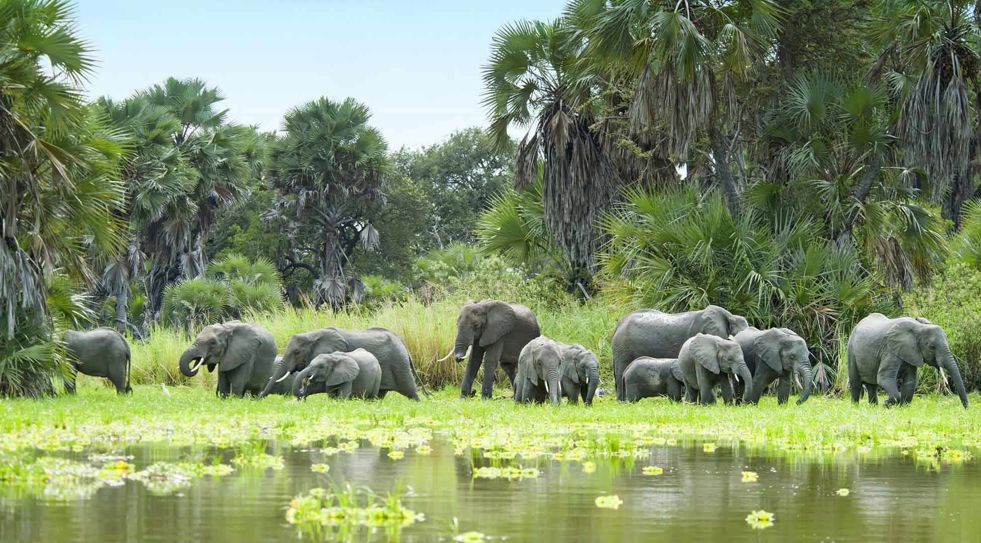 11Selous Game Reserve